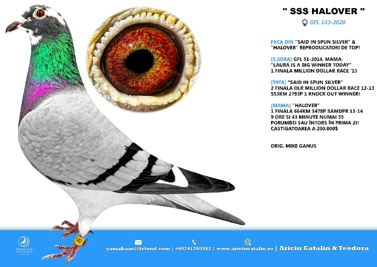 RO 24 507358 M - Best of SAMDPR winners line