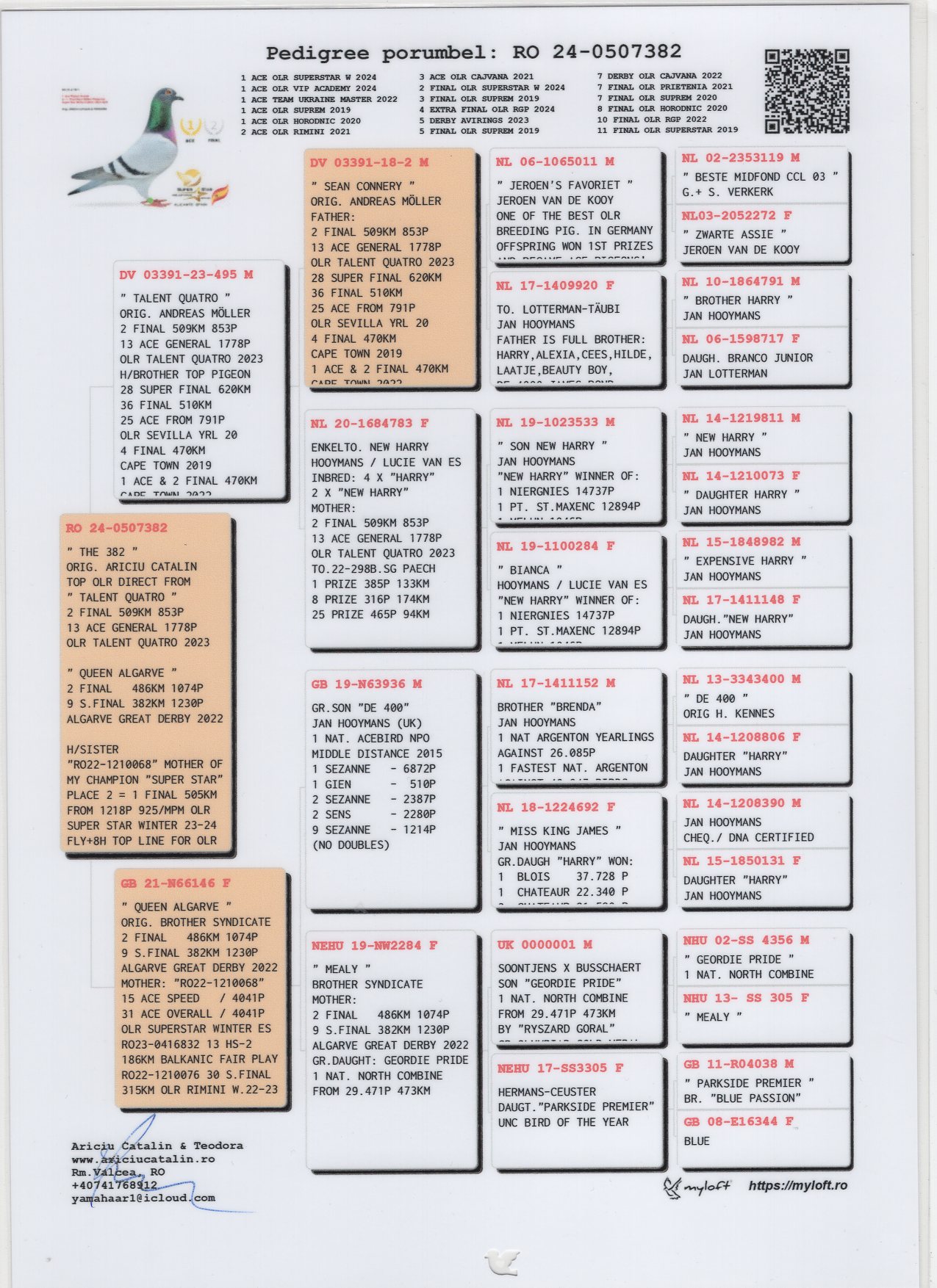 RO 24 507382 F - ARICIU CATALIN - 2 Final Talent Quatro x 2 Final Algarve Great 