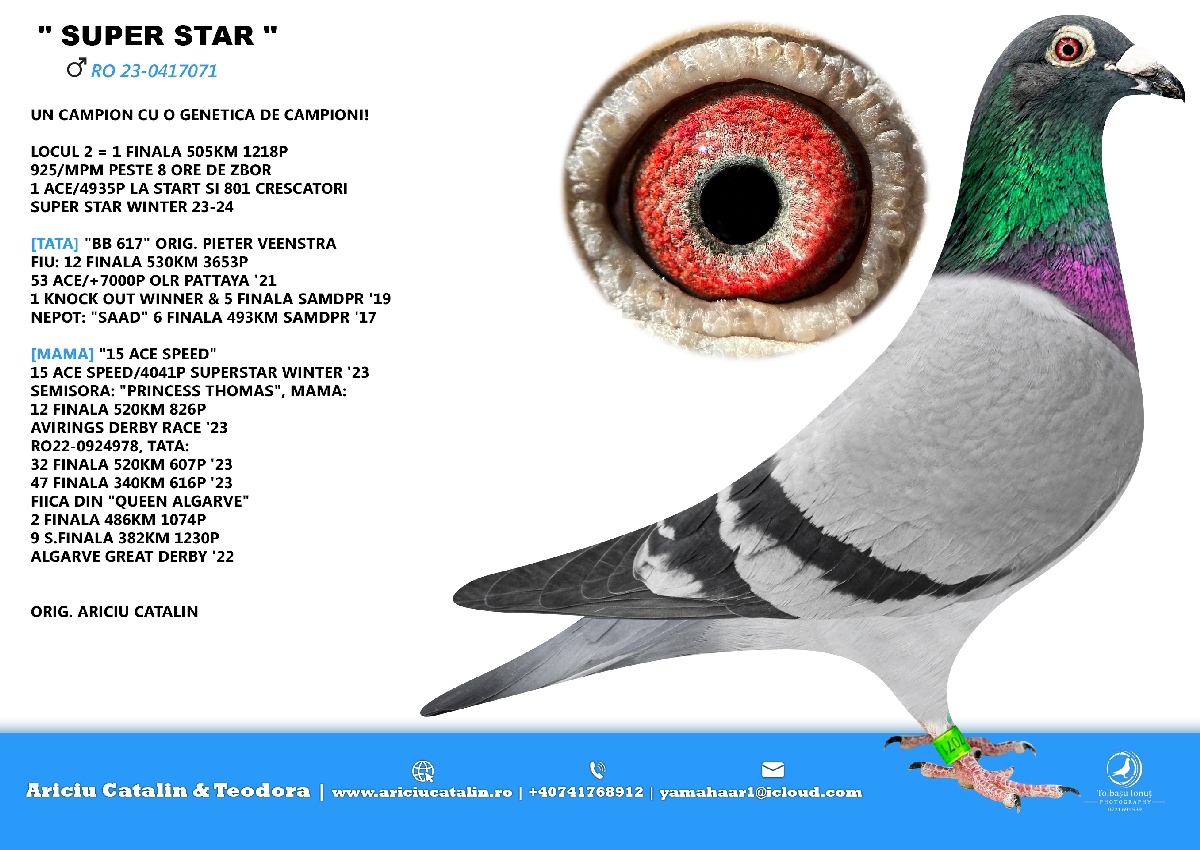 RO 24 507382 F - Special Pair! 2 Final Talent Quattro x 2 Final Algarve Great Derby