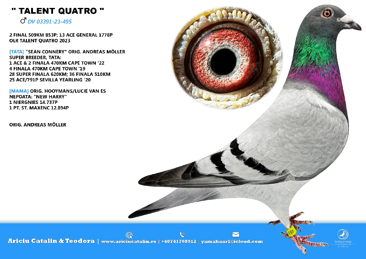 RO 24 507382 F - Special Pair! 2 Final Talent Quattro x 2 Final Algarve Great Derby