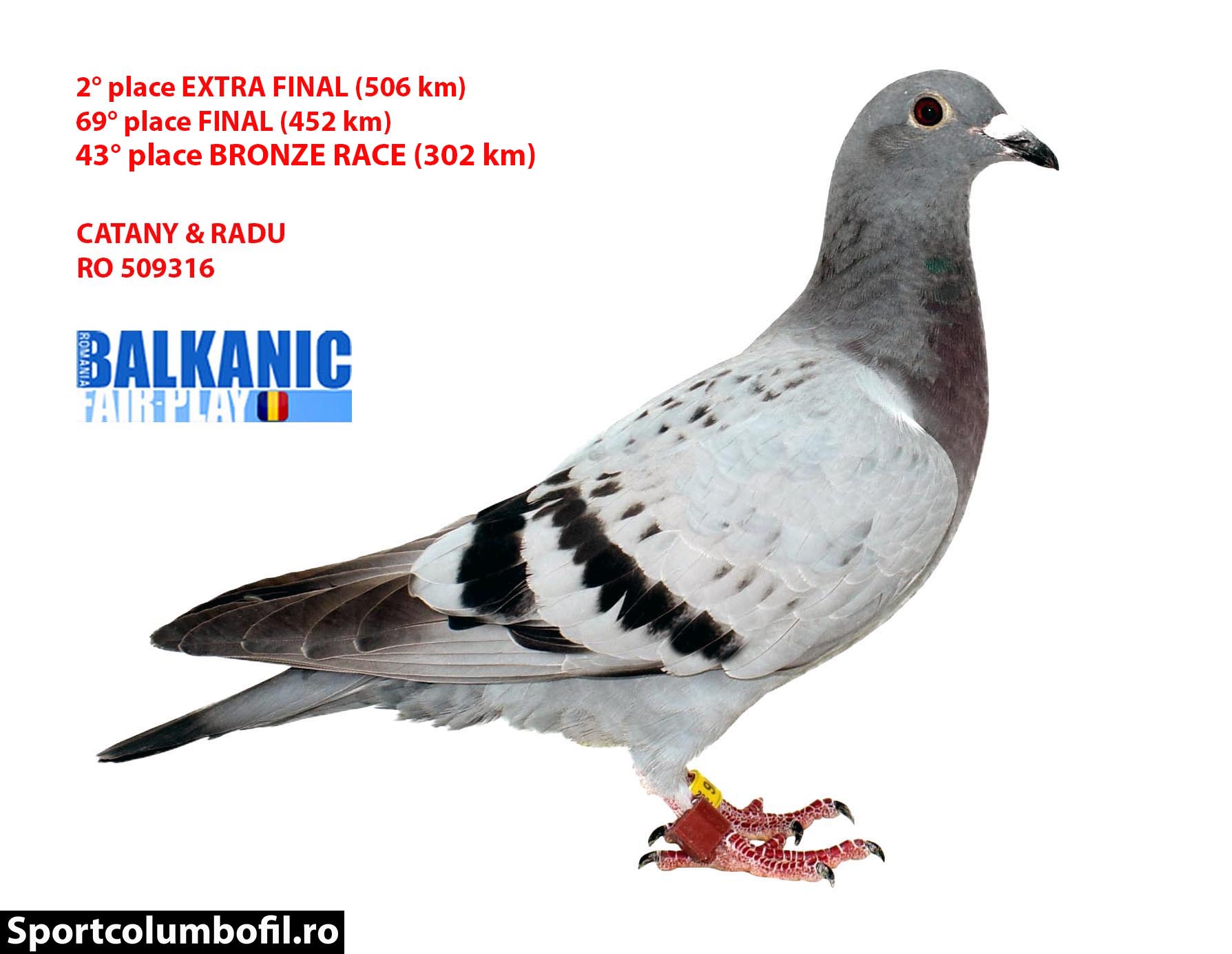 RO 24 509316 F Mesia - 2 Extra Final BFP / 69 Final BFP