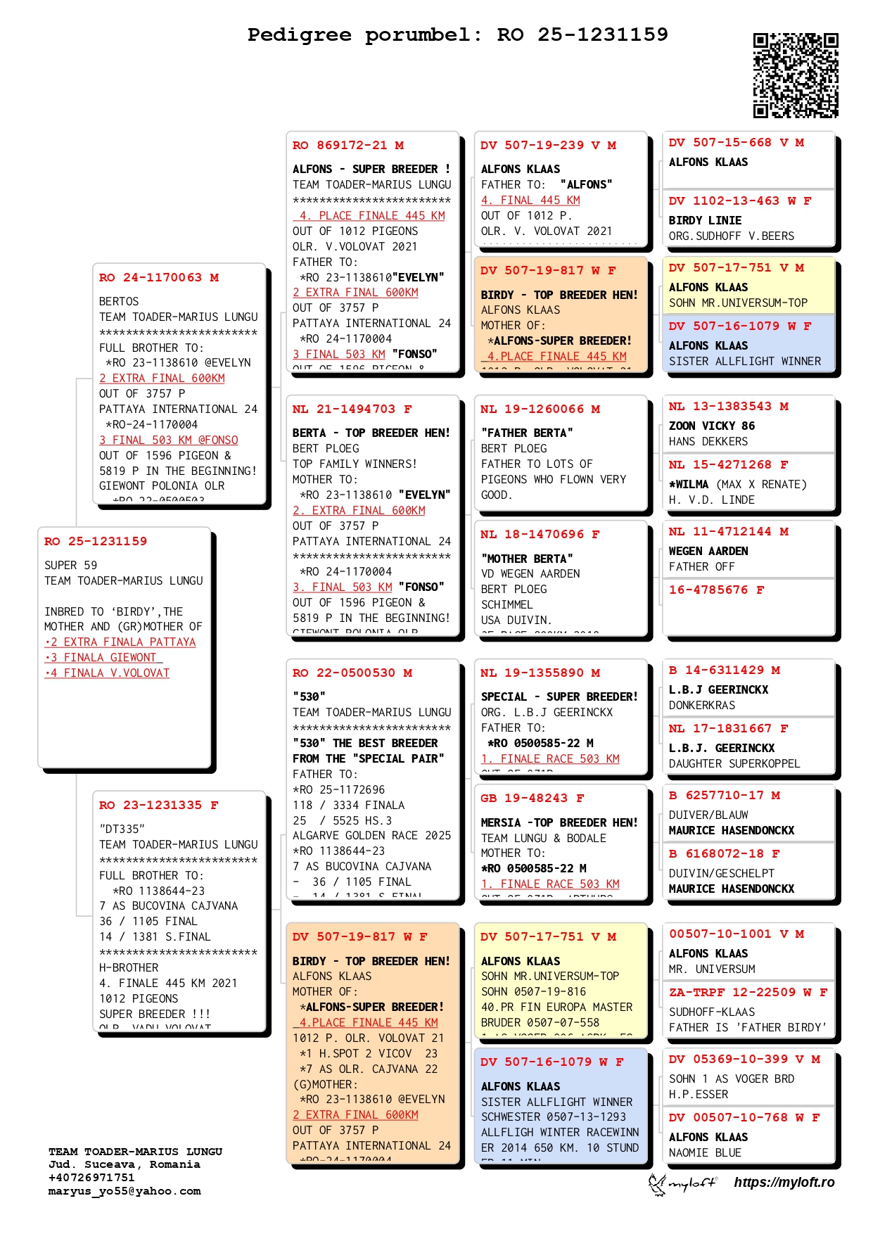 RO 25 1231159 F - Inbred super breeding hen Birdy