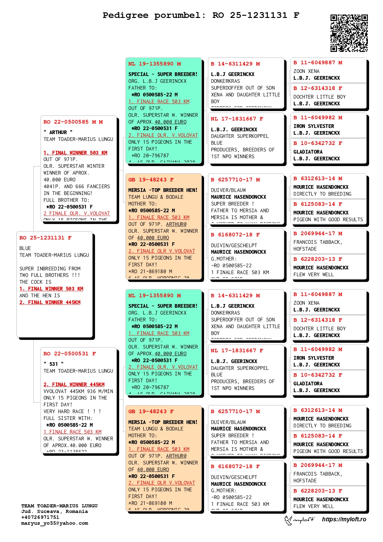 RO 25 2331131 F - 1 Final Superstar Spain x 2 Final Vadu Volovat