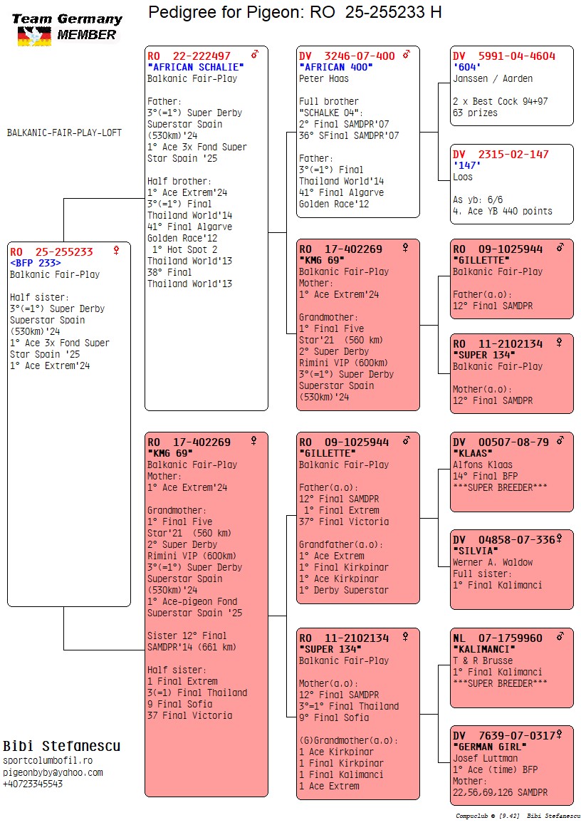 RO 25 255233 F - Half sister 3=1 Extra Final Superstar Spain, 1 Ace Extrem etc
