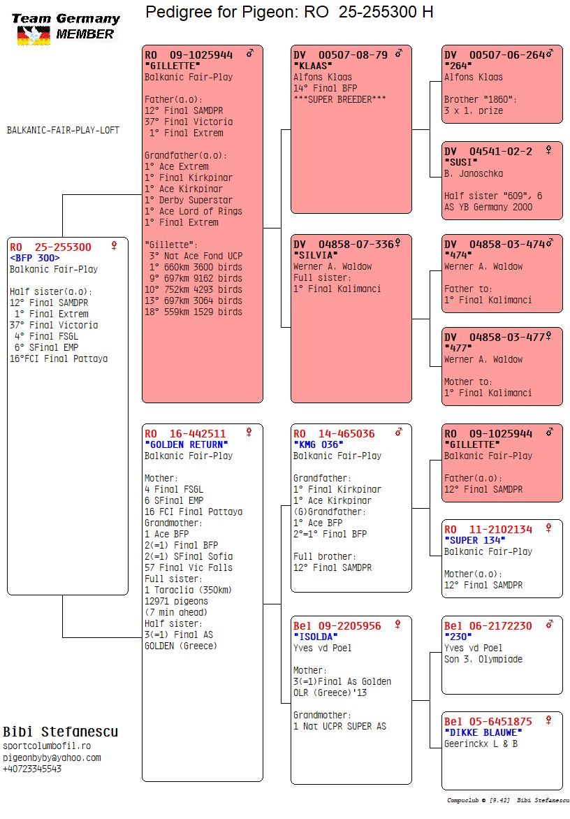RO 25 255300 F - Daughter Gillette; Half sister 12 Final SAMDPR, 37 Final Victoria etc