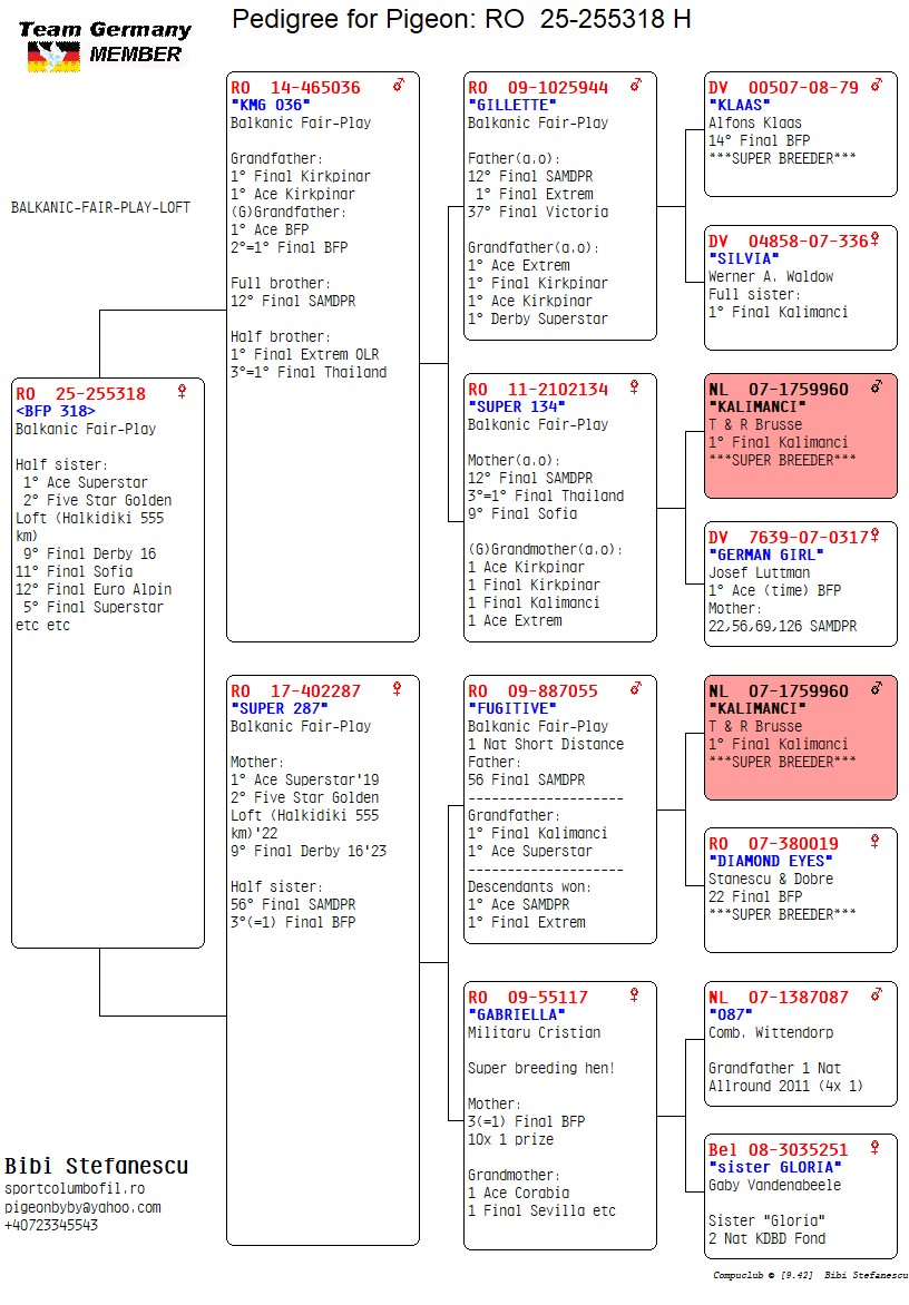 RO 25 255318 F - Half sister 1 Ace Superstar, 9 Final Derby 16 etc