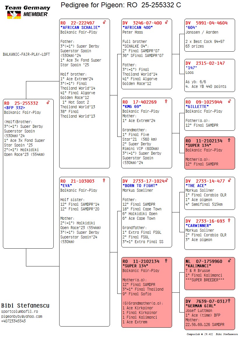 RO 25 255332 M - Brother 3=1 SD Superstar Spain, HBrother 2=1 Halkidiki Open Race etc
