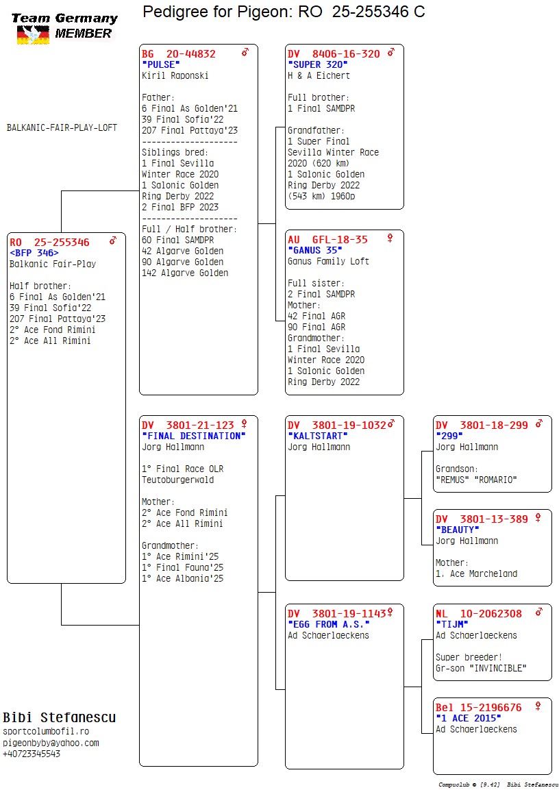 RO 25 255346 M - HBrother 6 Final As Golden, 39 Final Sofia, 2 Ace Fond Rimini etc