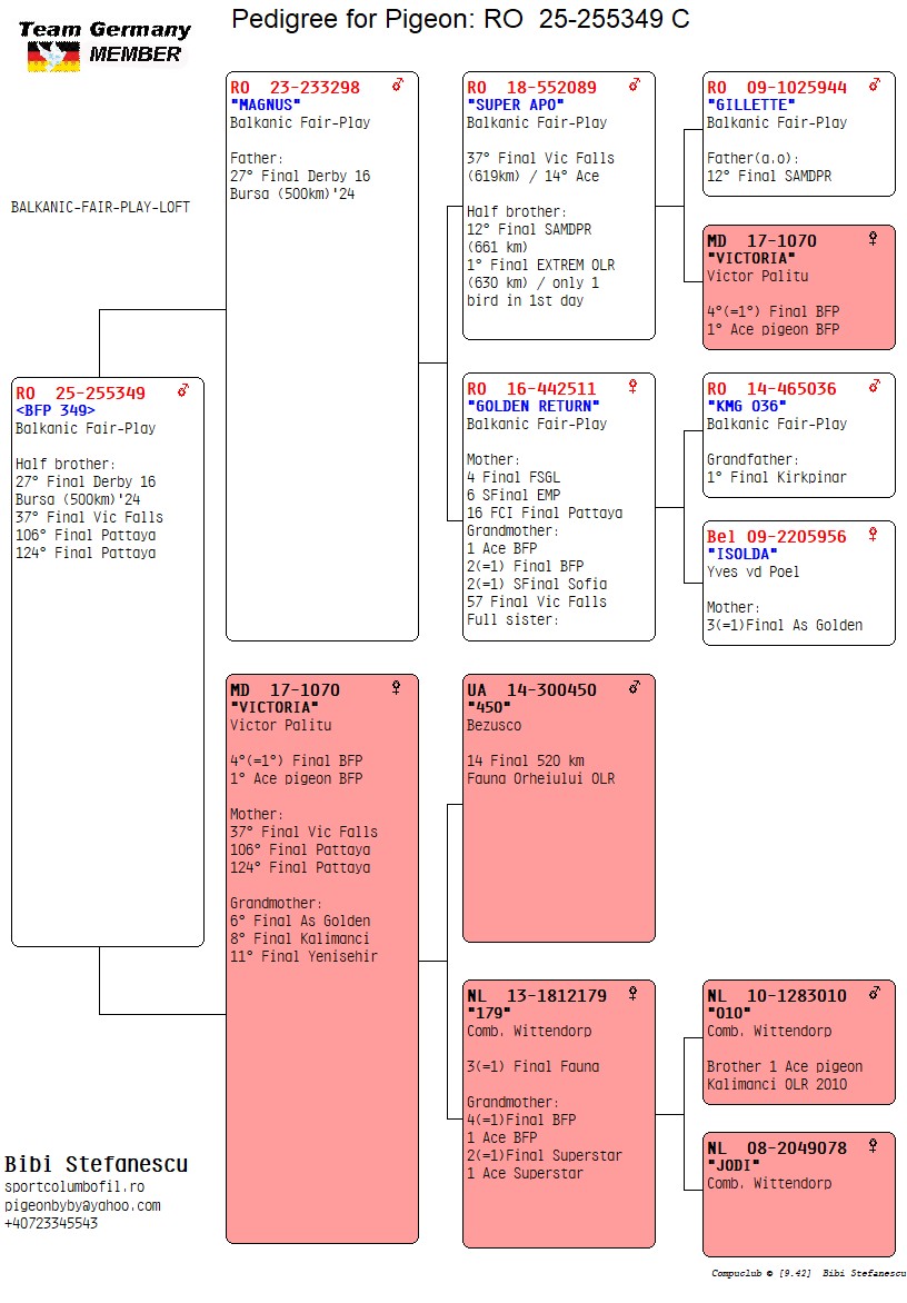 RO 25 255349 M - Half brother 27 Final Derby 16, 37 Final Victoria Falls etc