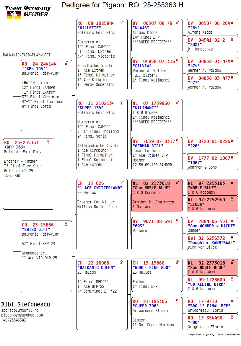 RO 25 255363 F - GDaughter Gillette, Balkanic Queen (1 Final + 1 Ace BFP)