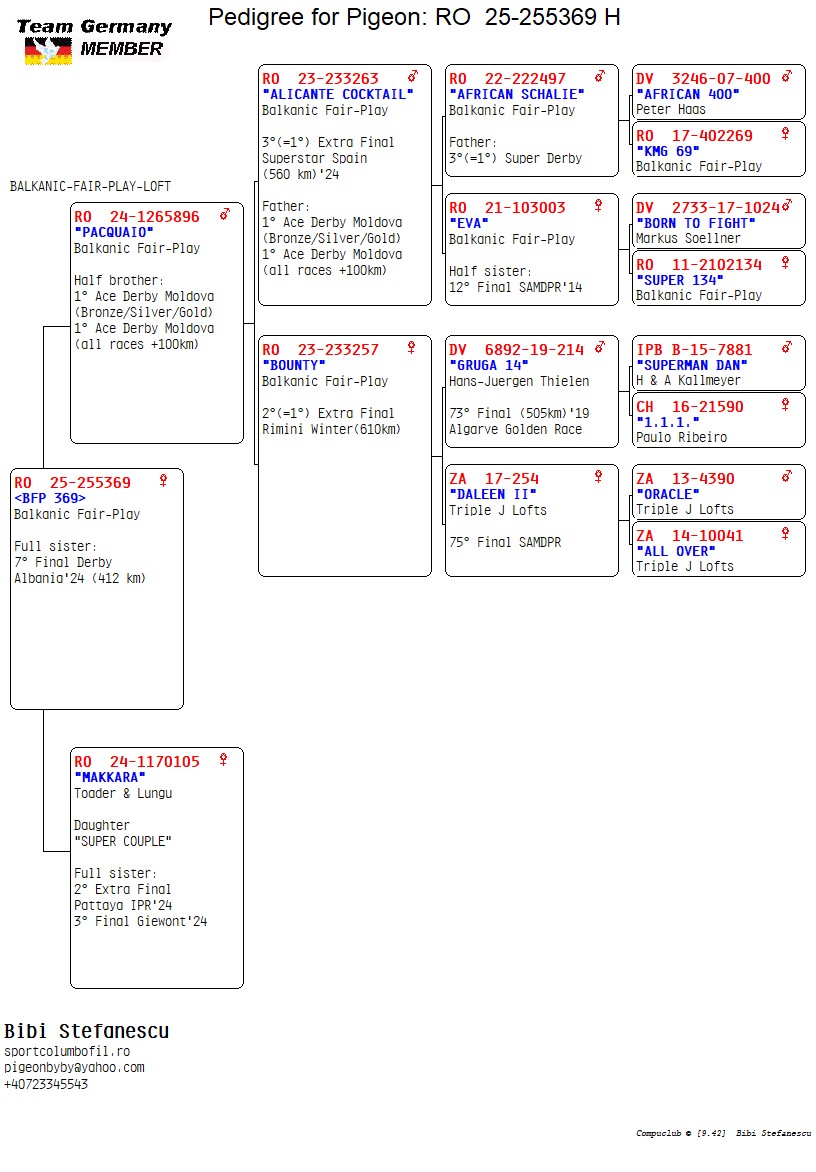 RO 25 255369 F - Full sister 7 Final Derby Albania