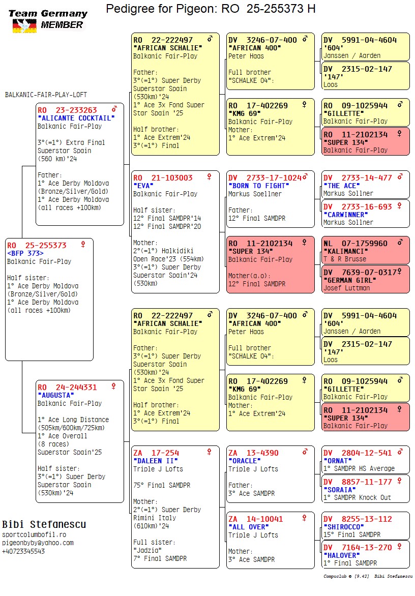 RO 25 255373 F - 3=1 SD Superstar Spain x 1 Ace Fond Superstar Spain