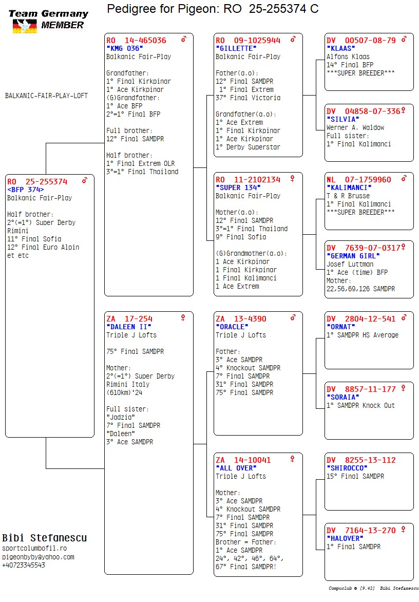 RO 25 255374 M - HBrother 2=1 SD Rimini VIP Race