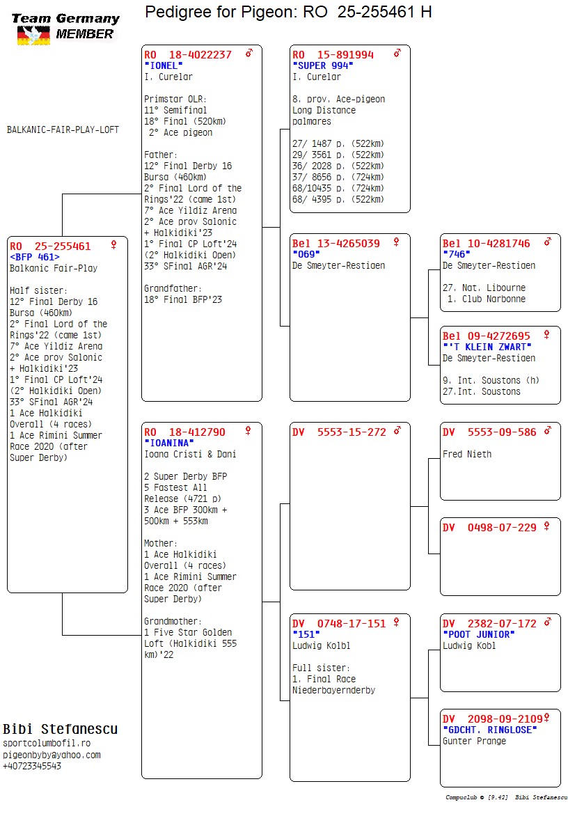 RO 25 255461 F - HSister 12 Final Derby 16, 7 Ace Yildiz Arena, 2 prov Fond Money Races