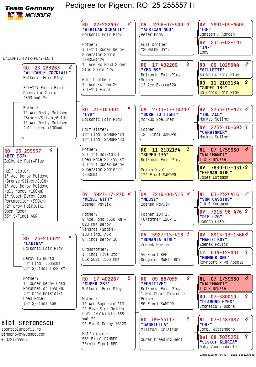 RO 25 255527 F - 3=1 SD Superstar Spain x 9 Final Derby 16