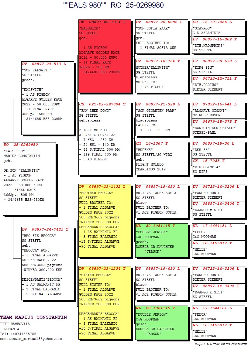 RO 25 269980 M - GRANDSON EALSWITH - 1 ACE (11 FINAL) ALGARVE GOLDEN RACE