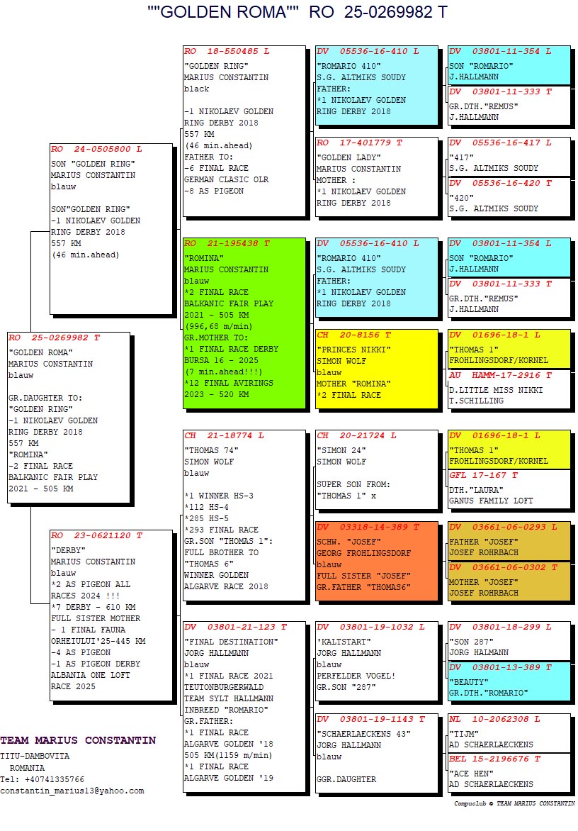 RO 25 269982 F - GRANDDAUGHTER GOLDEN RING / ROMINA