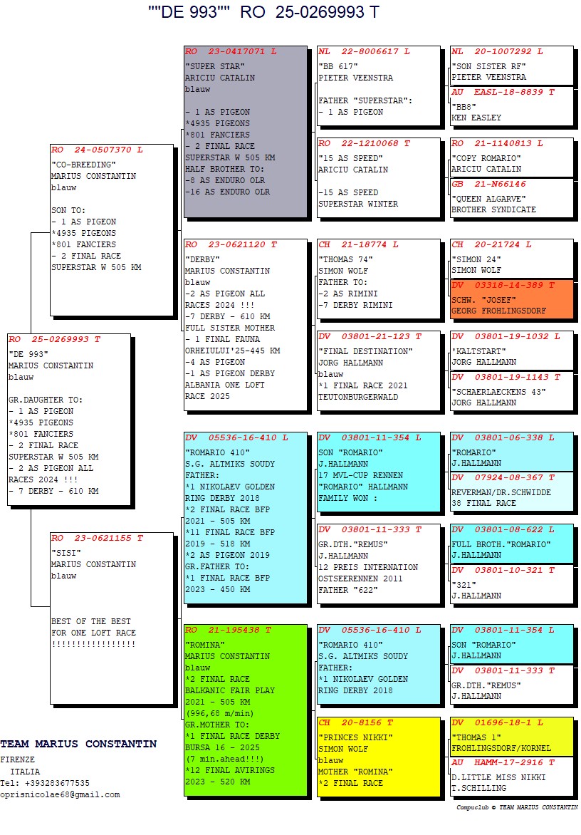 RO 25 269993 F - GRANDDAUGHTER 1 ACE SUPERSTAR SPAIN / 410 / ROMINA