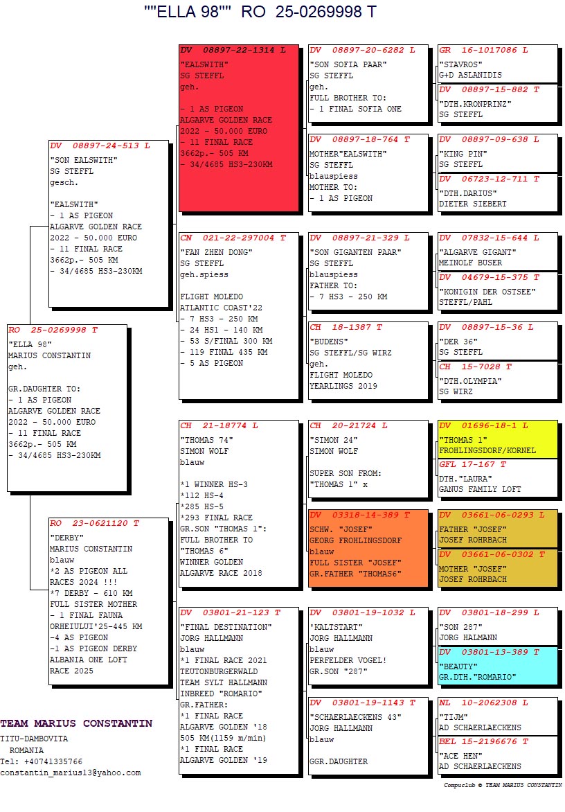 RO 25 269998 F - GRANDDAUGHTER EALSWITH - 1 ACE (11 FINAL) ALGARVE GOLDEN RACE