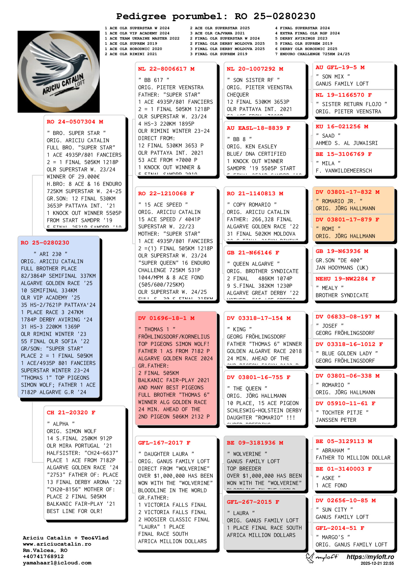 RO 25 280230 M - Brother 1 Ace Superstar Spain x Alpha (Daughter Thomas 1)