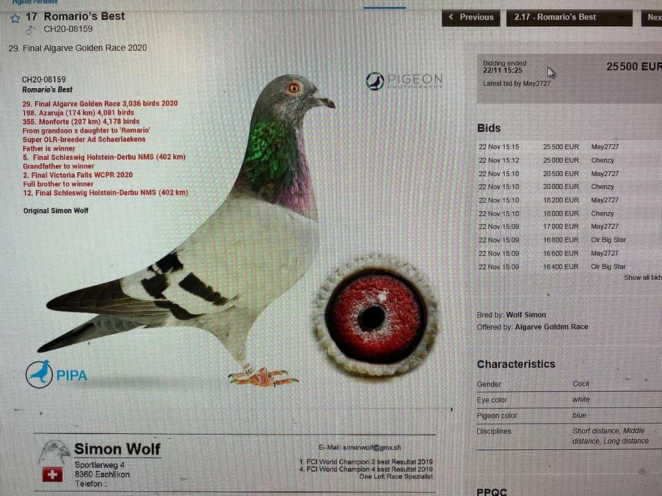 RO 25 2802323 F - Daughter super breeders Thomas 81 & Roma