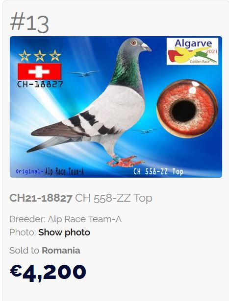 RO 25 2802323 F - Daughter super breeders Thomas 81 & Roma