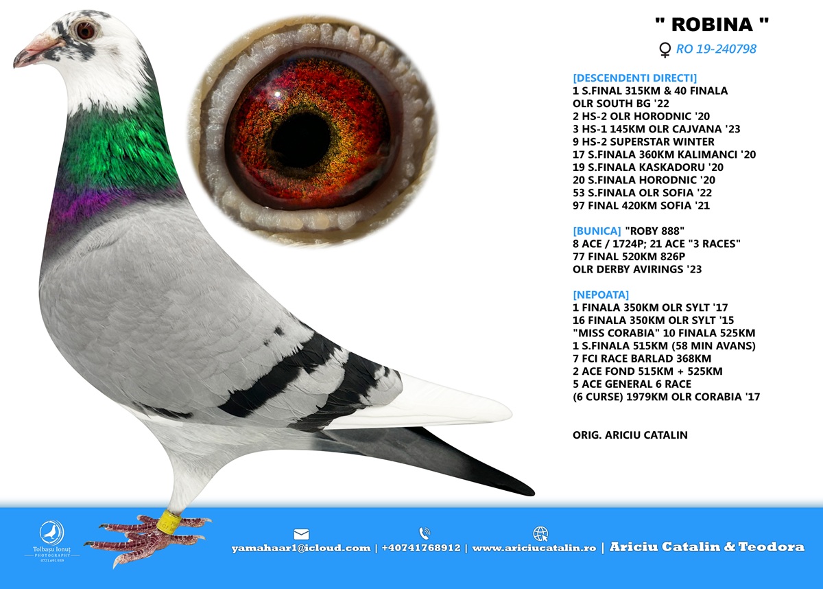 RO 25 280279 M - Son 2 Final Talent Quattro; Half broter 2 Semifinal South Bulgaria