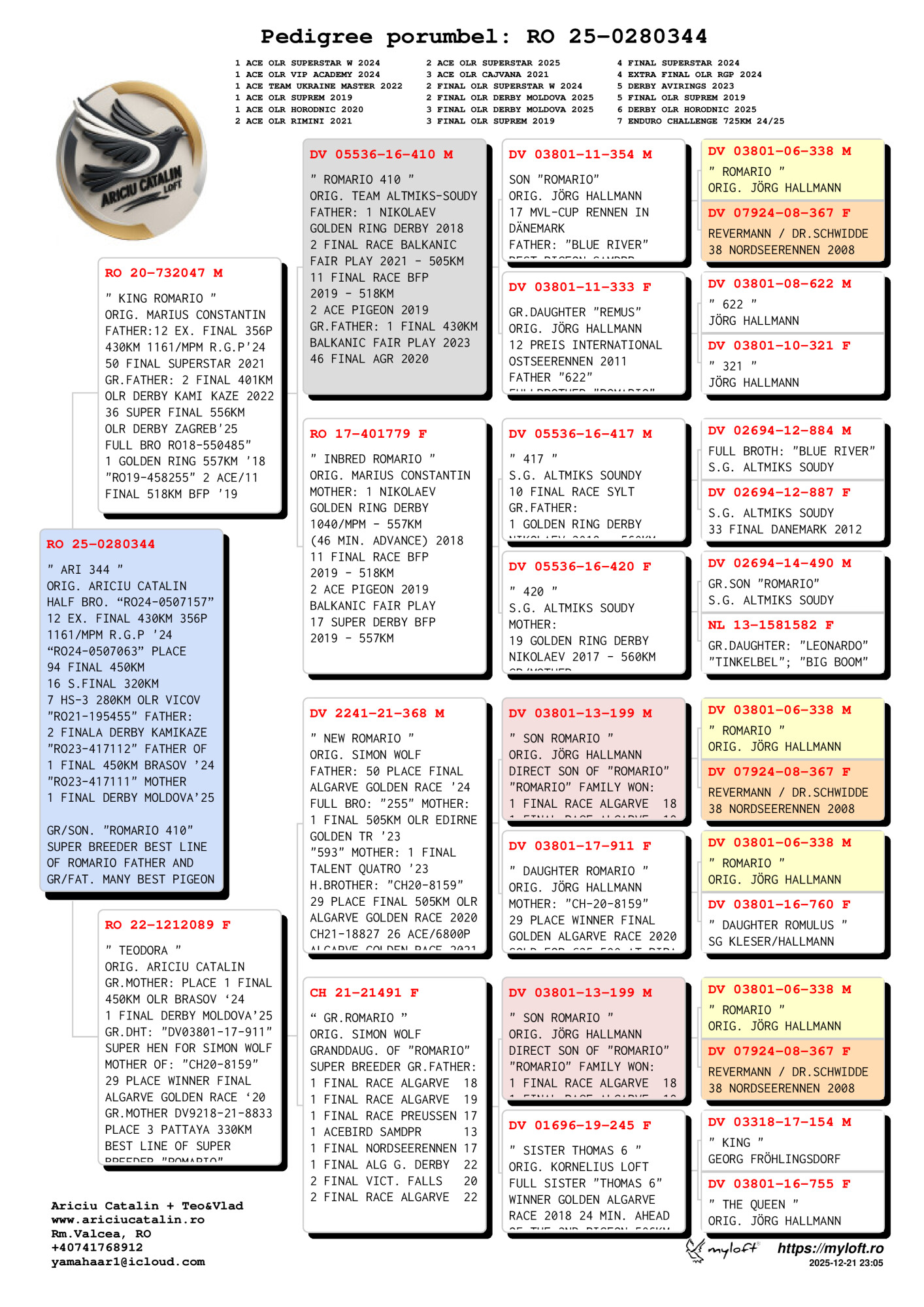 RO 25 280344 M - King Romario (Brother 1 Golden Ring) x Teodora, special breeder