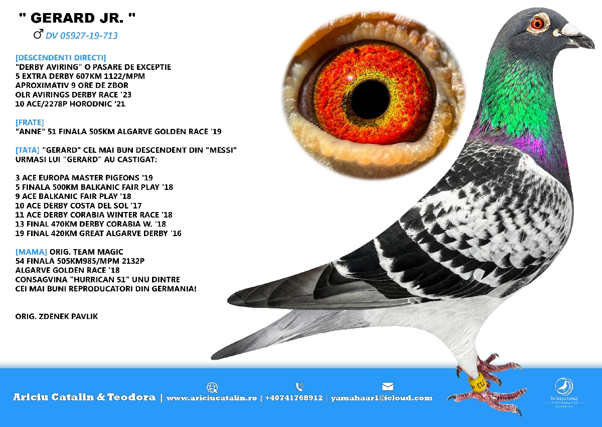 RO 25 280359 M - Brother 5 Extra Final AviRings (607 km); Grandson Gerard (son Messi)