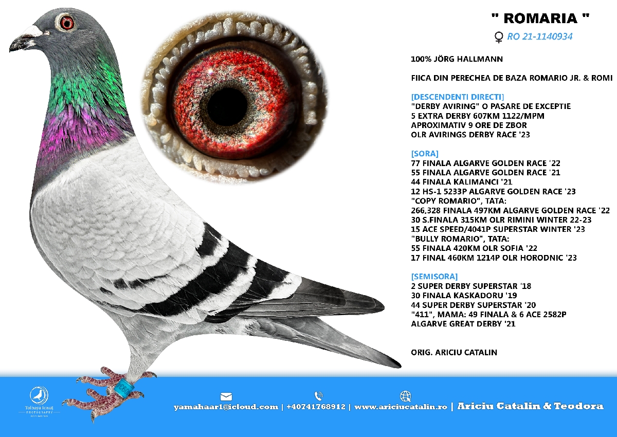 RO 25 280359 M - Brother 5 Extra Final AviRings (607 km); Grandson Gerard (son Messi)