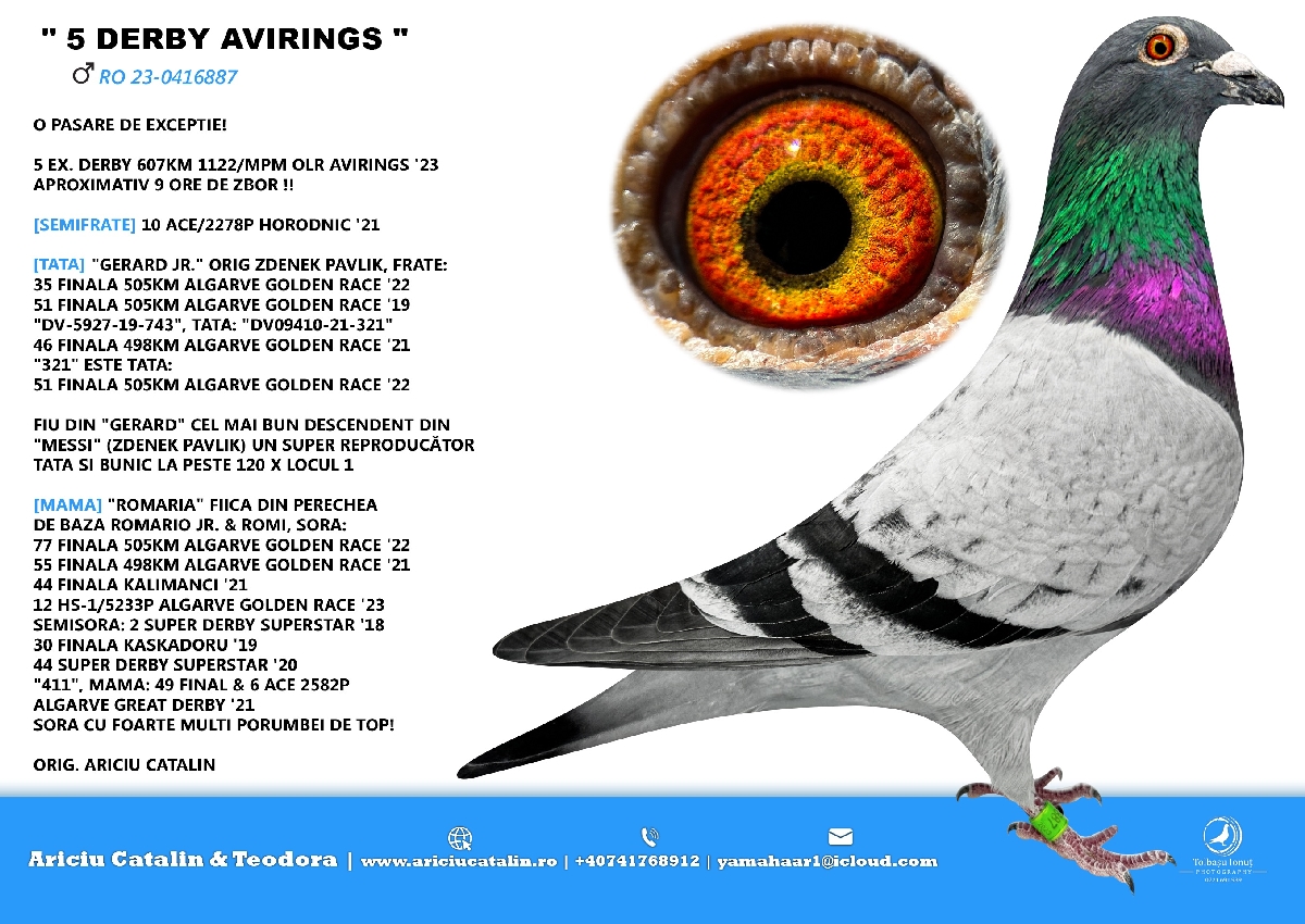 RO 25 280359 M - Brother 5 Extra Final AviRings (607 km); Grandson Gerard (son Messi)