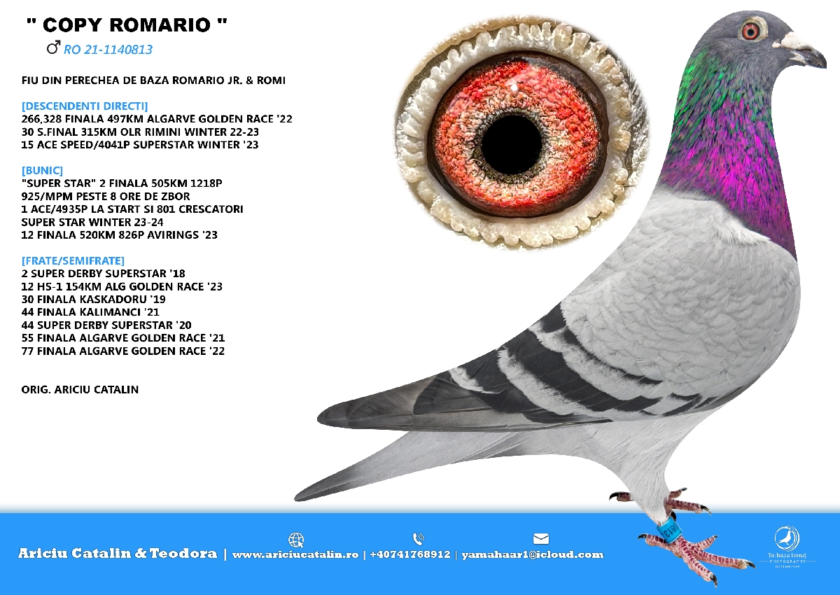RO 25 280375 F- Half sister mother 1 Ace Superstar Spain (2 Final)