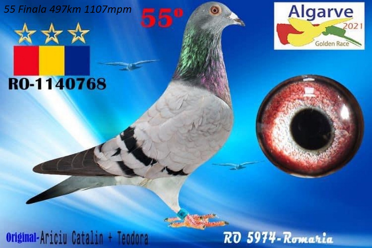 RO 25 280425 M - Brother 55, 77 Final Algarve Golden, 44 Final Kalimanci. Super Pair!