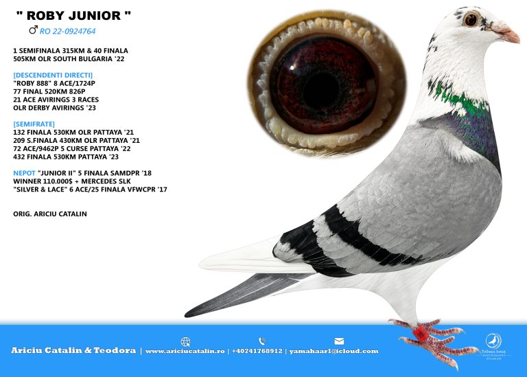 RO 25 280432 F - Sister 46 Final Pattaya; Half sister 1 Semifinal South Bulgaria