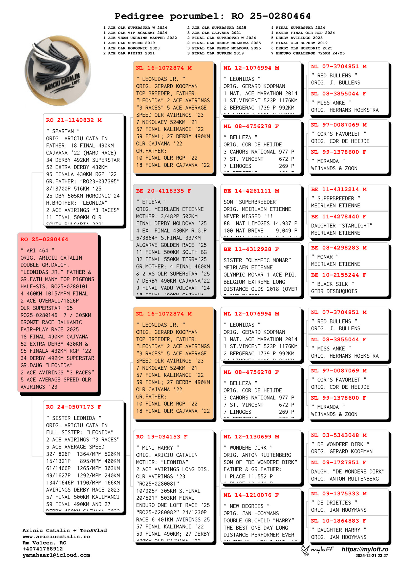 RO 25 280464 F - Double granddaughter Leonidas JR, super breeder