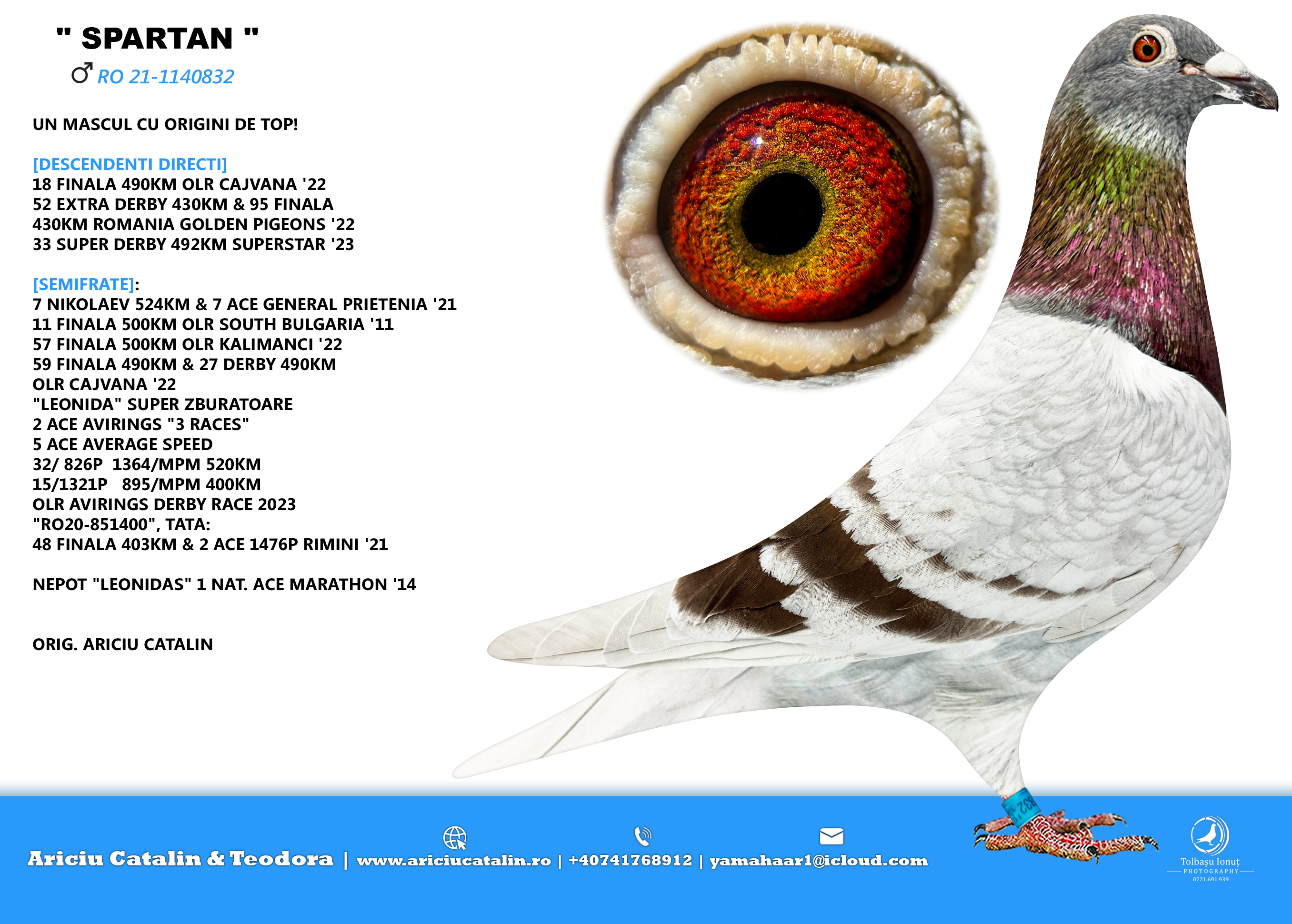 RO 25 280464 F - Double granddaughter Leonidas JR, super breeder