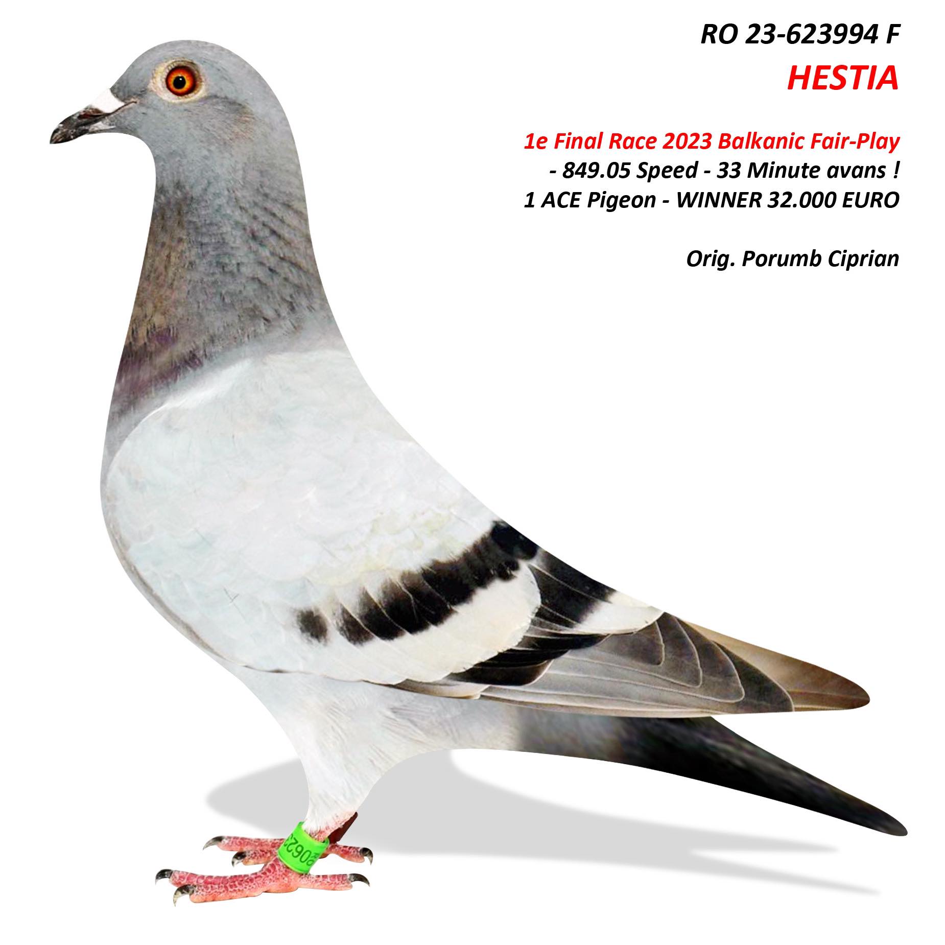 RO 25 280470 F - Winners Combination! 2=1 Final (1 Ace) Superstar x 1 Final (1 Ace) BFP