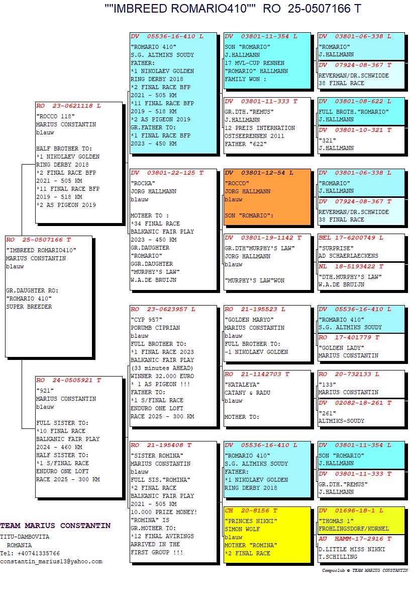 RO 25 507166 F - GRANDDAUGHTER ROMARIO 410