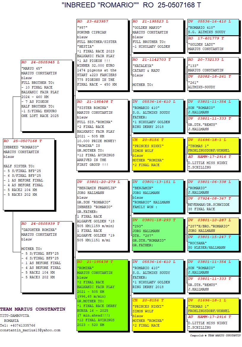 RO 25 507168 F - GRANDDAUGHTER ROMINA