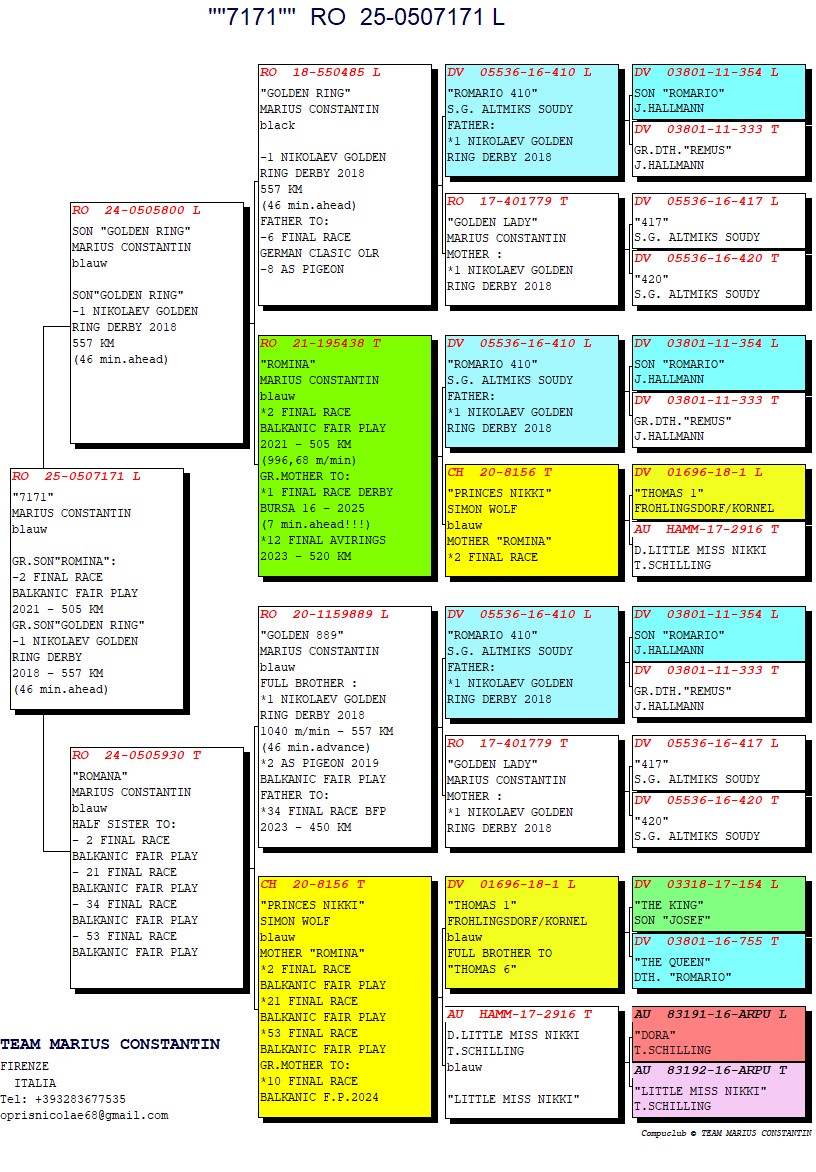RO 25 507171 M - GRANDSON GOLDEN RING / ROMINA