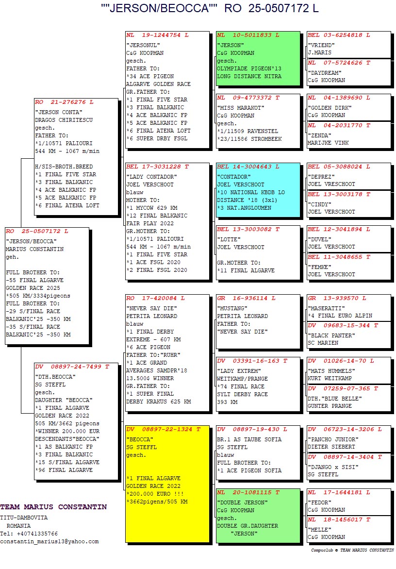 RO 25 507172 M - BROTHER 55 FINAL ALGARVE GOLDEN 2025; GRANDSON BEOCCA
