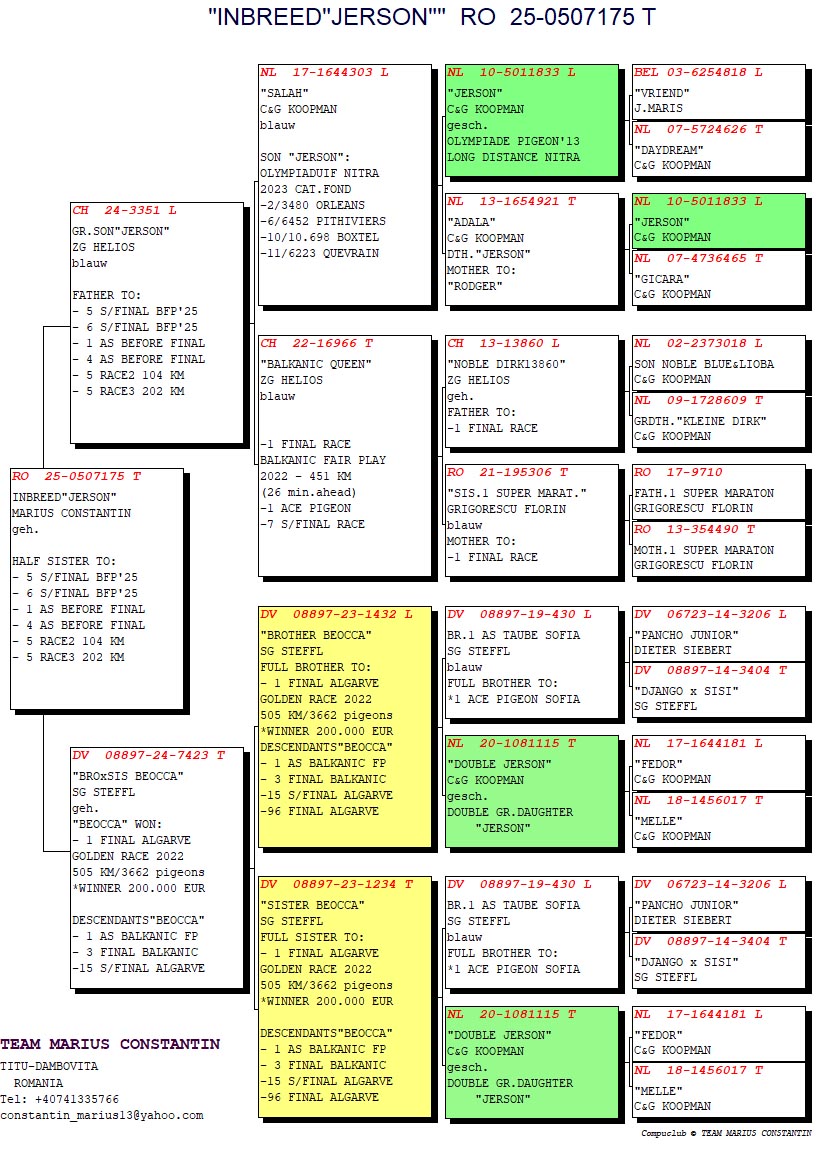 RO 25 507175 M - GRANDSON 1 FINAL BFP / HALF BROTHER 1 ACE BFP (BEFORE FINAL)