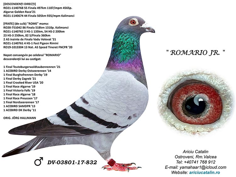 RO 417011-23 M - Brother 55 + 77 Final Algarve Golden Race!