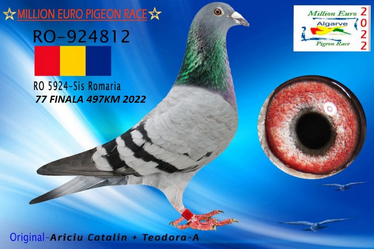 RO 417011-23 M - Brother 55 + 77 Final Algarve Golden Race!
