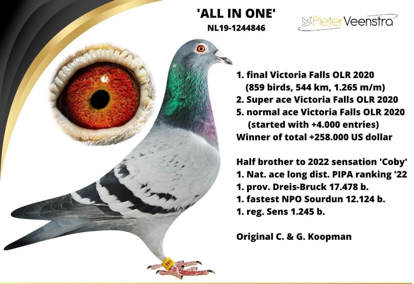 RO 417163-23 F - Grandaughter 1 Final Victoria Falls OLR (544 km)