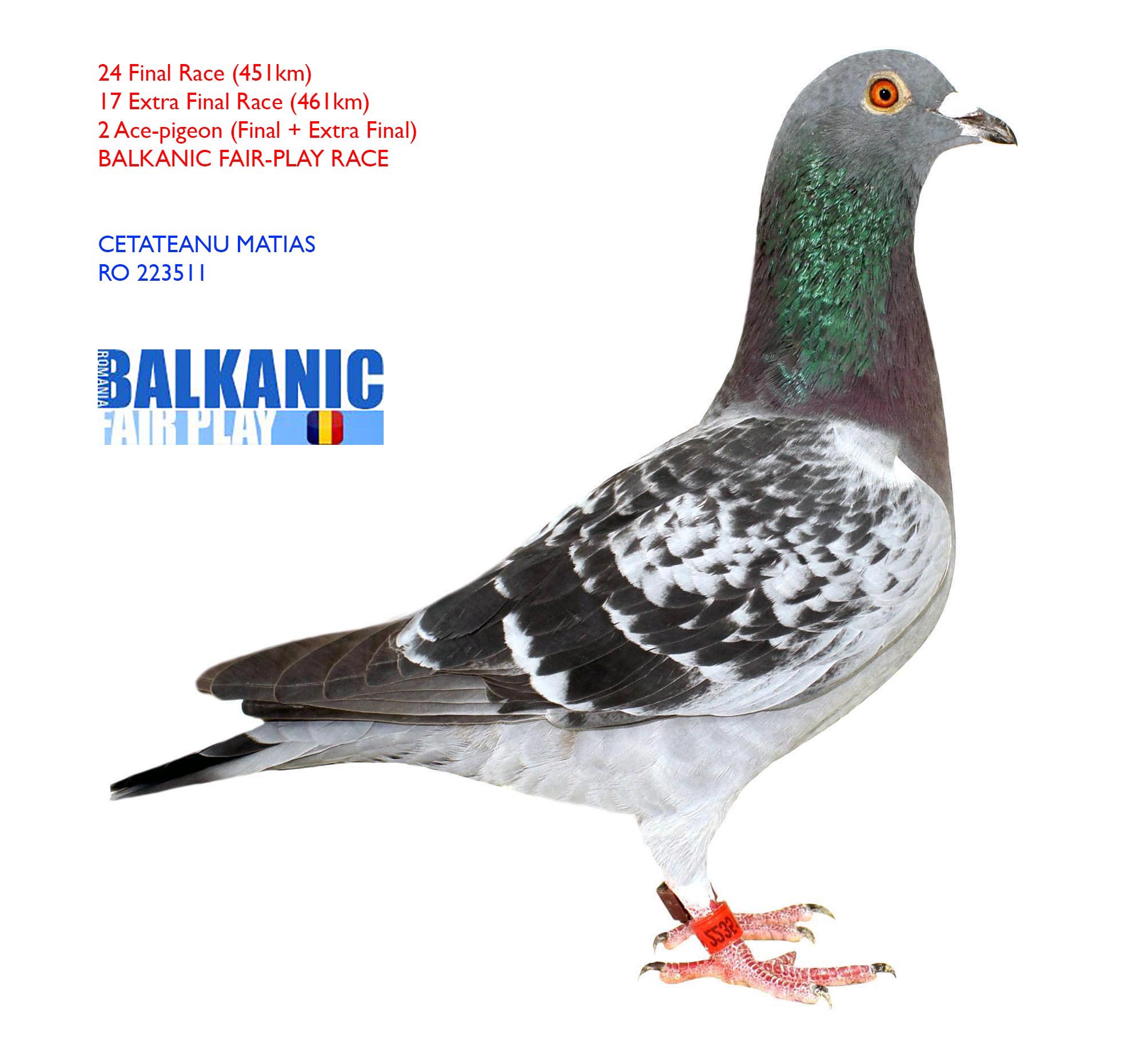 RO 550306-20 M - BIBI STEFANESCU - Father 1 Final Five Star OLR, 1 Ace BFP (SF+F+EF)
