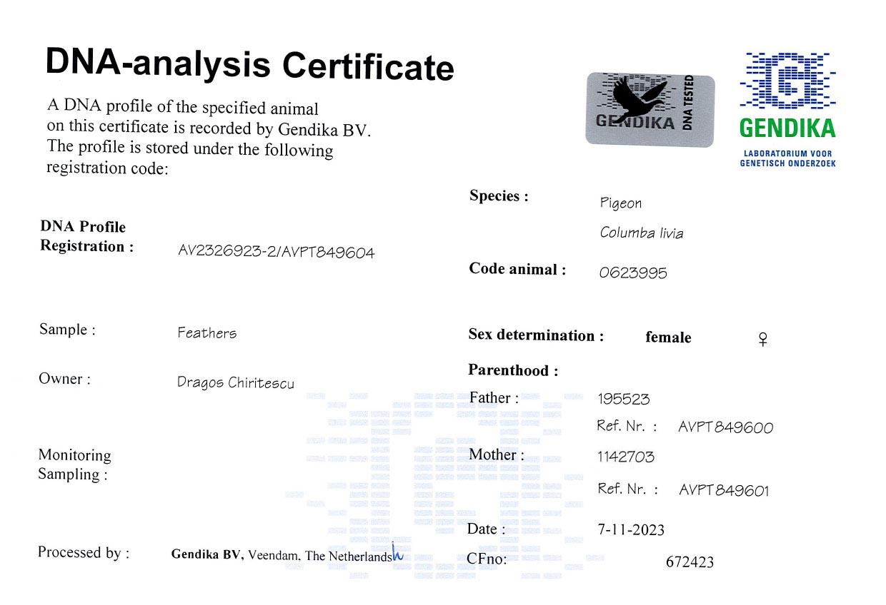 RO 623995-23 F - Nest sister 1 Final (1 Ace) BFP 2023