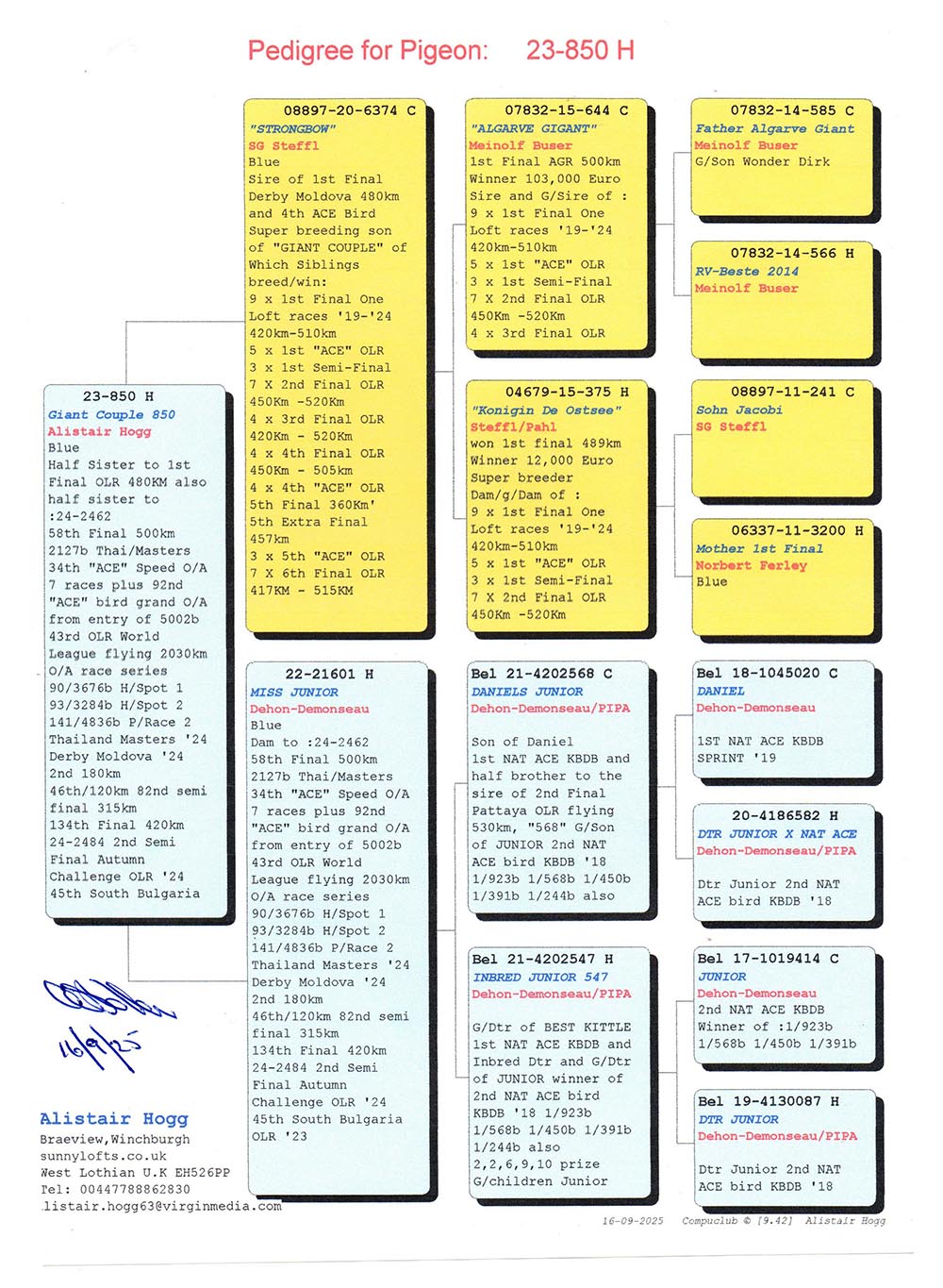 SU 23 850 F - HALF SISTER 1 FINAL DERBY MOLDOVA; GDAUGHTER GIANT COUPLE