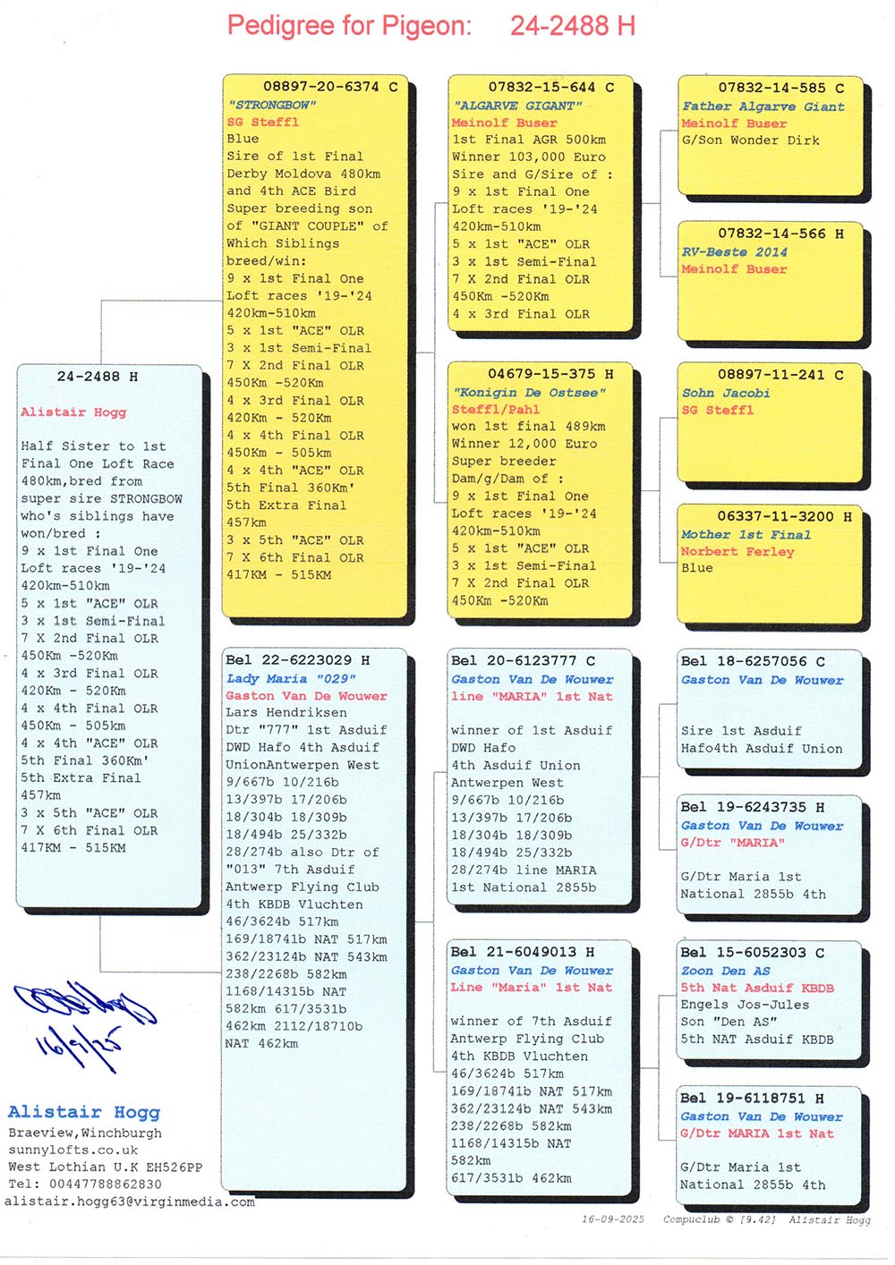 SU 24 2488 F - HALF SISTER 1 FINAL DERBY MOLDOVA; GDAUGHTER GIANT COUPLE