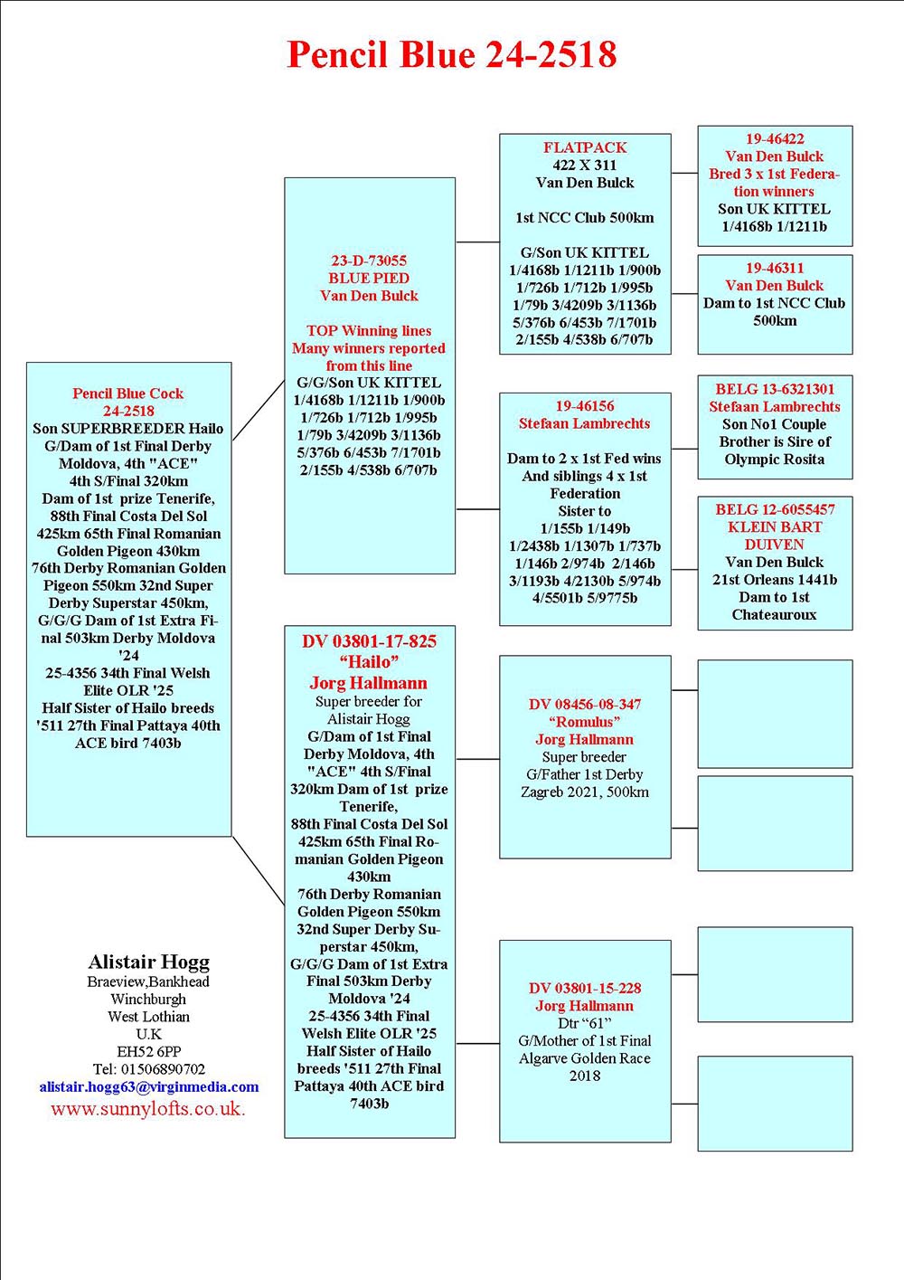 SU 24 2518 M - GRANDSON ROMULUS (JORG HALLMANN)